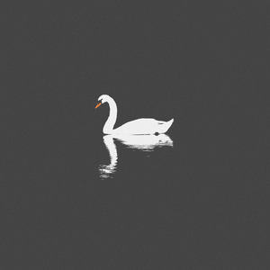 美女扒开双腿让男人捅
